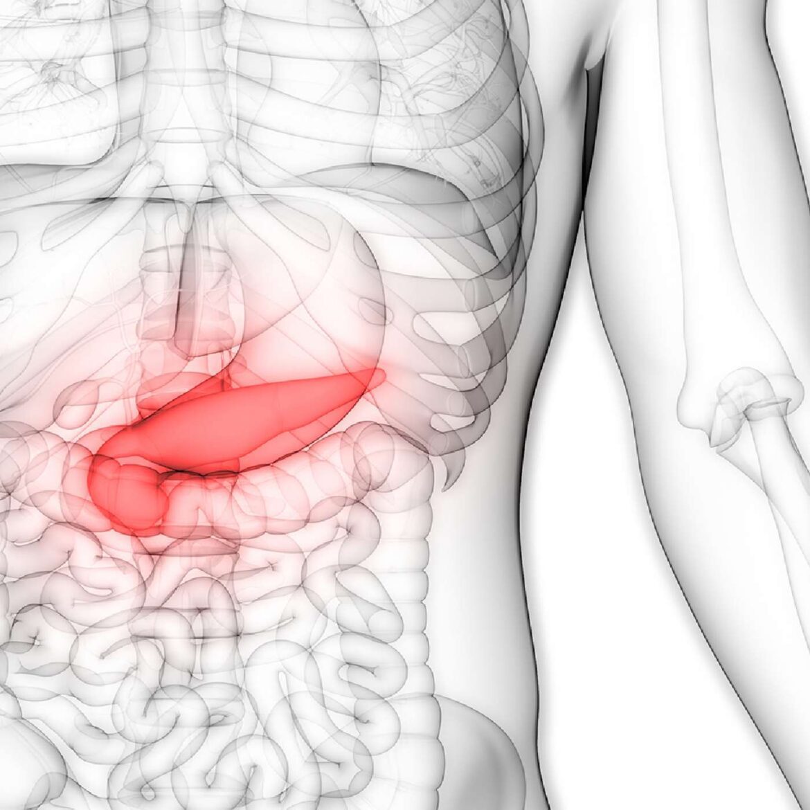 4: the science of type 1 diabetes