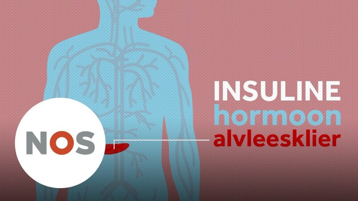 Diabetes: Wat Is Dat Precies?
