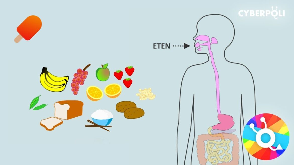 Diabetes Voor Beginners