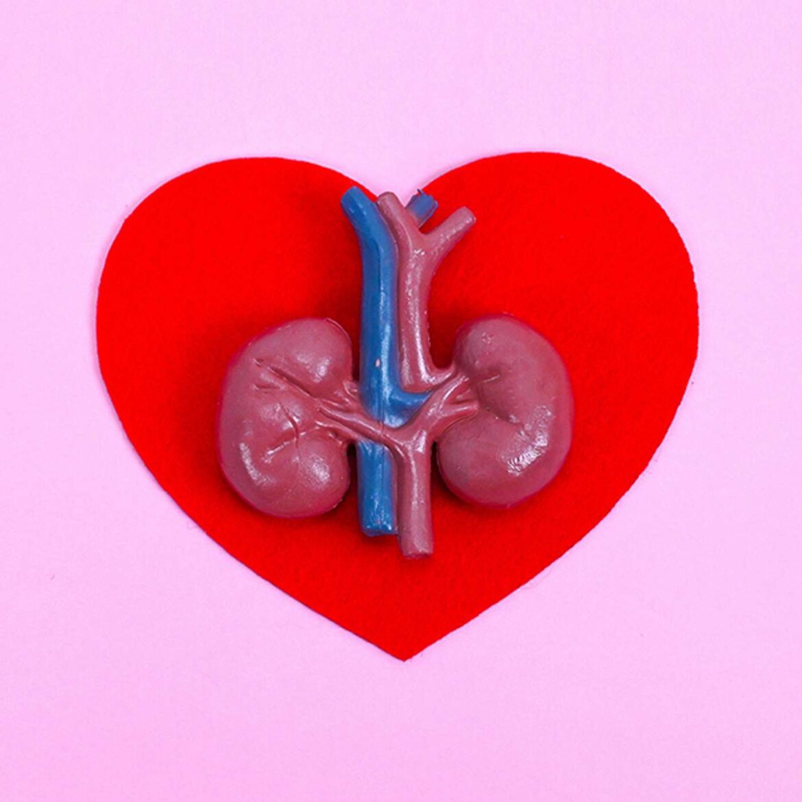 69: the link between the heart and the kidneys: cardiovascular kidney metabolic syndrome