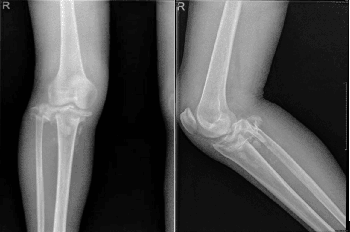 12891 2025 9262 fig1 html