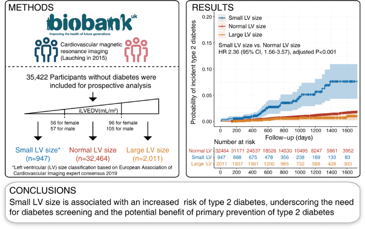 13098 2025 1939 figa html
