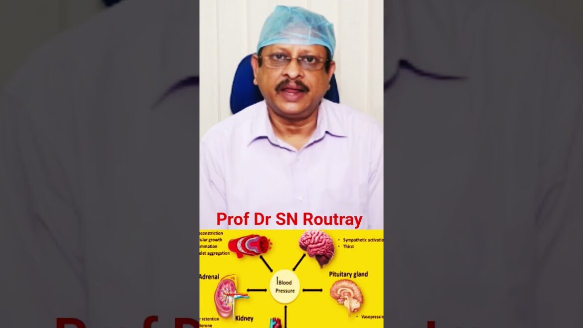 Causes Of Kidney Issues ||Healthtips Blood Pressure ||Diabetes ||Symptoms ||Awareness