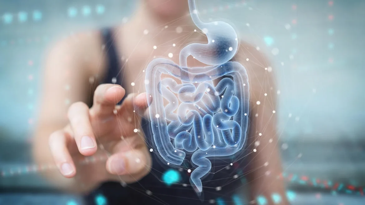 Digestive system intestines holographic scan