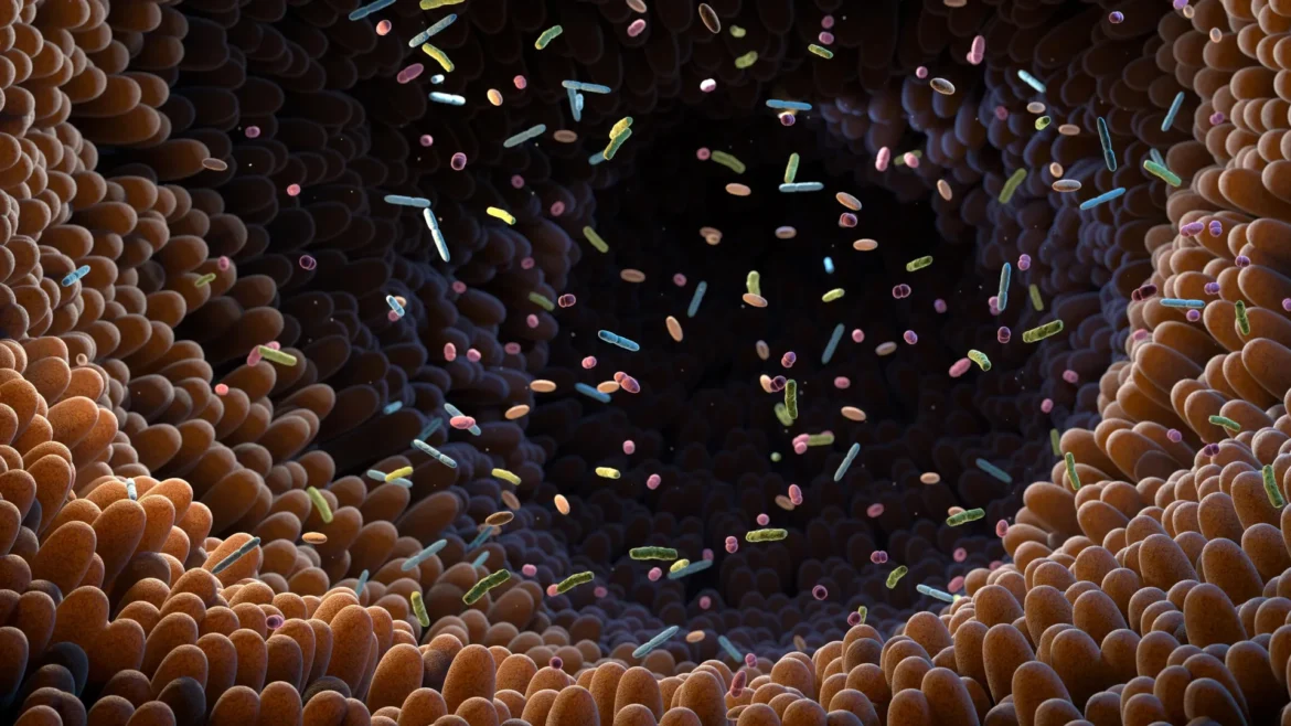 Intestinal bacteria gut microbiome