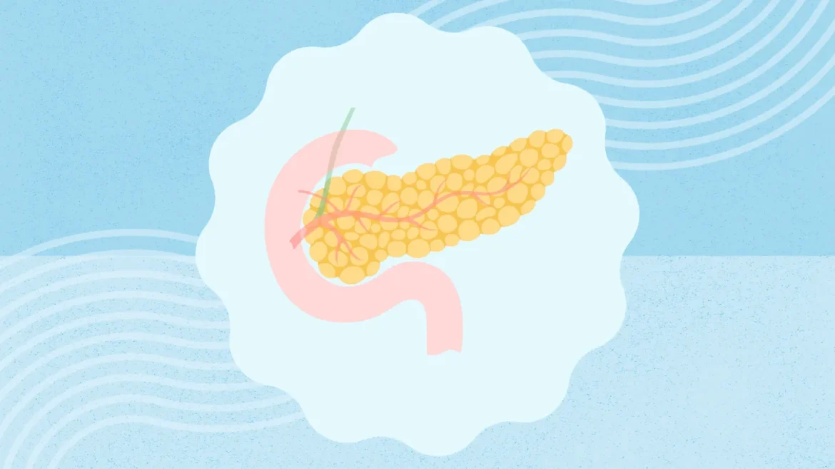 Pancreas transplants for t1d 1440x810