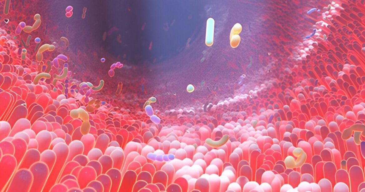 Urlhttps3A2F2Fnewatlas brightspot.s3.amazonaws.com2F122F552Ff7b204694772a2058599049964672Fgut mircrobes