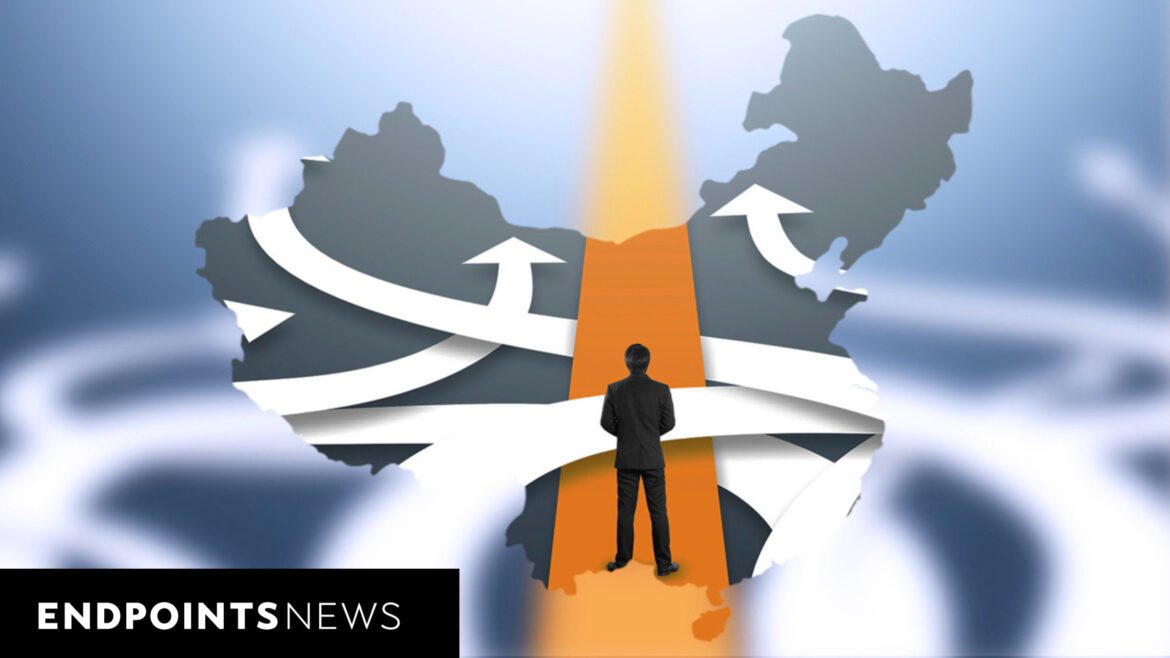 China investment social Credit Kathy Wong