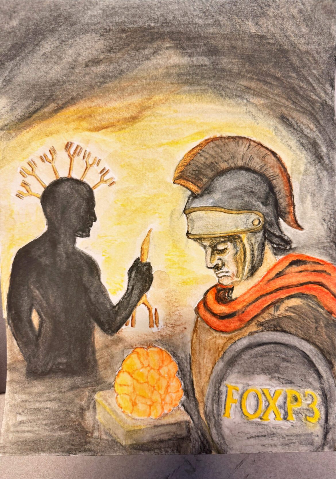 Diabetes B cell cover image scaled