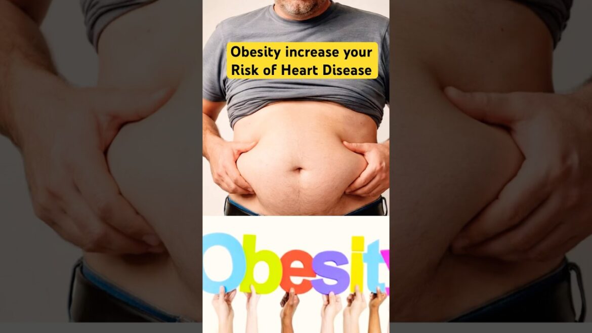 Obesity to Disease: How Belly Fat Causes Fatty Liver,Diabetes, High