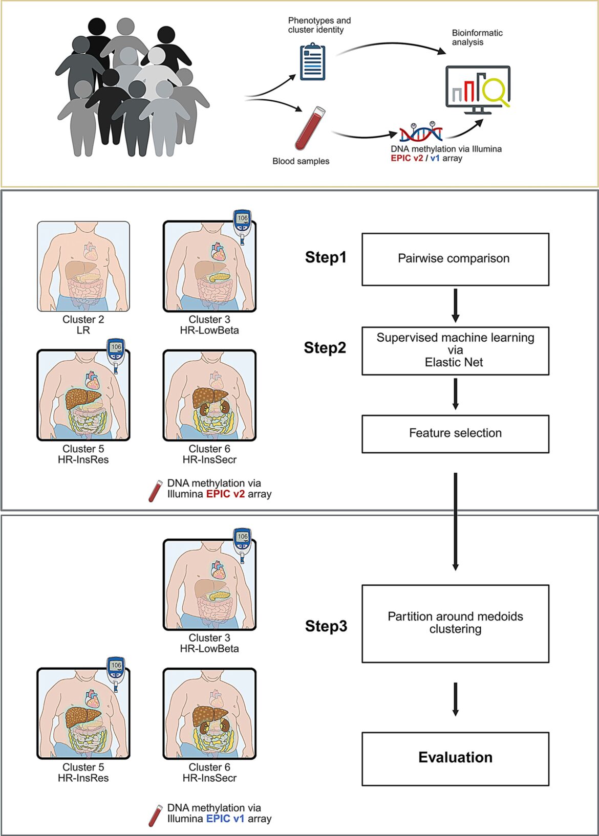 Prediabetes blood base