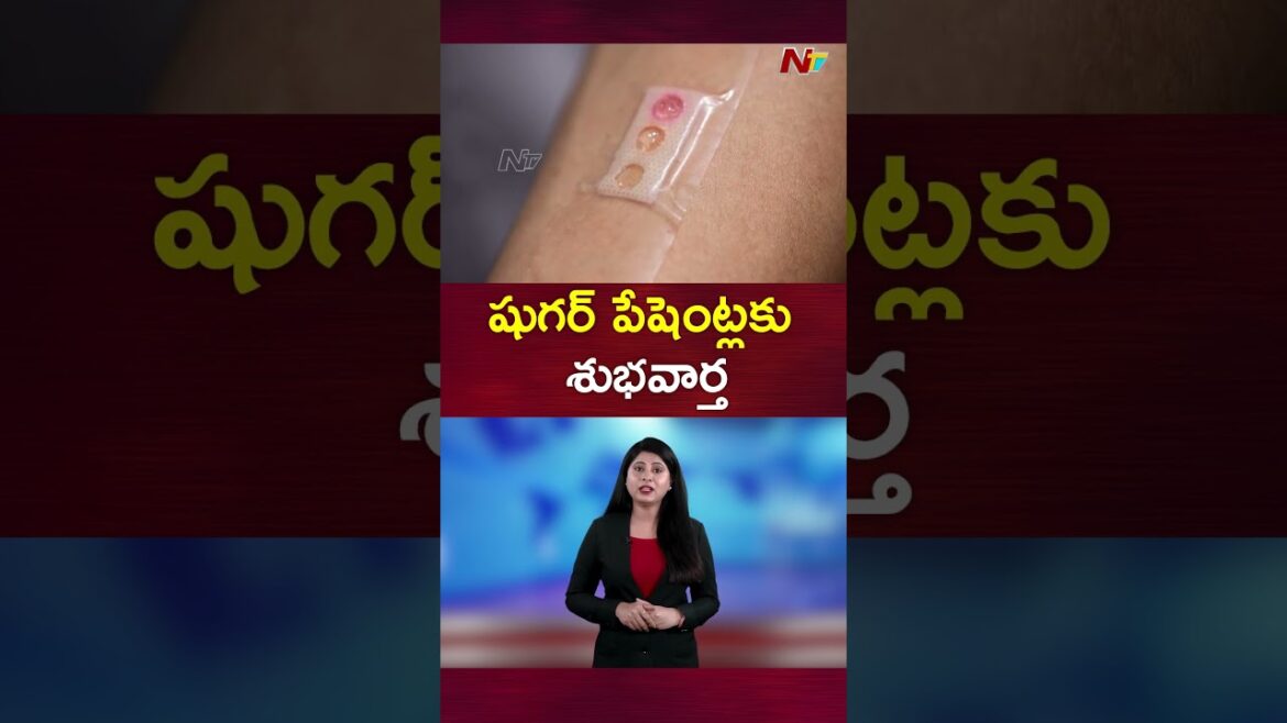 Good News For Diabetic Patients | Ntv