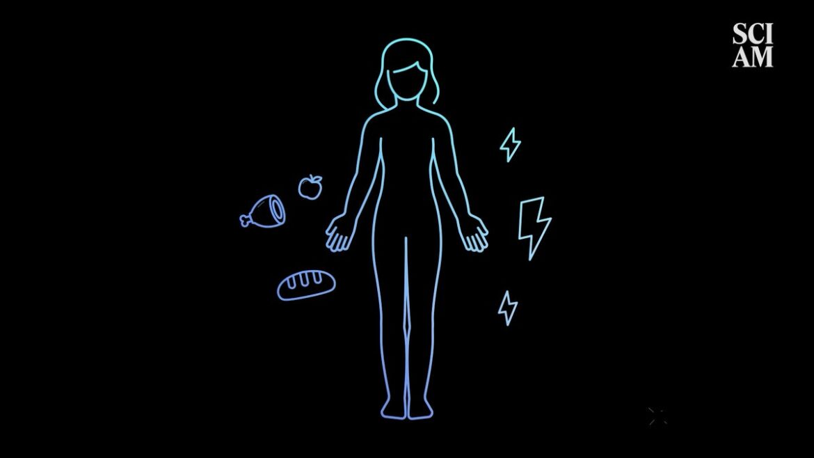 Type 1 Diabetes Animated Explainer Art