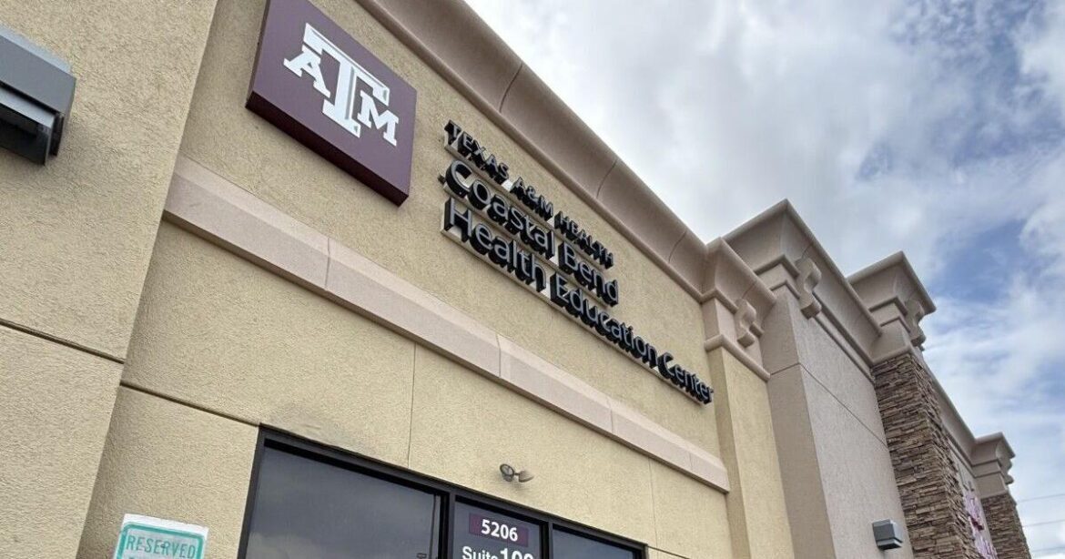 69c2d0b808153.preview