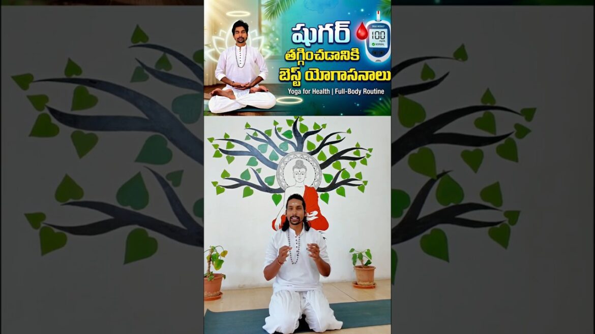 Best Yoga Asanas for Diabetes | Diabetes Control Yoga#yoga #diabetes