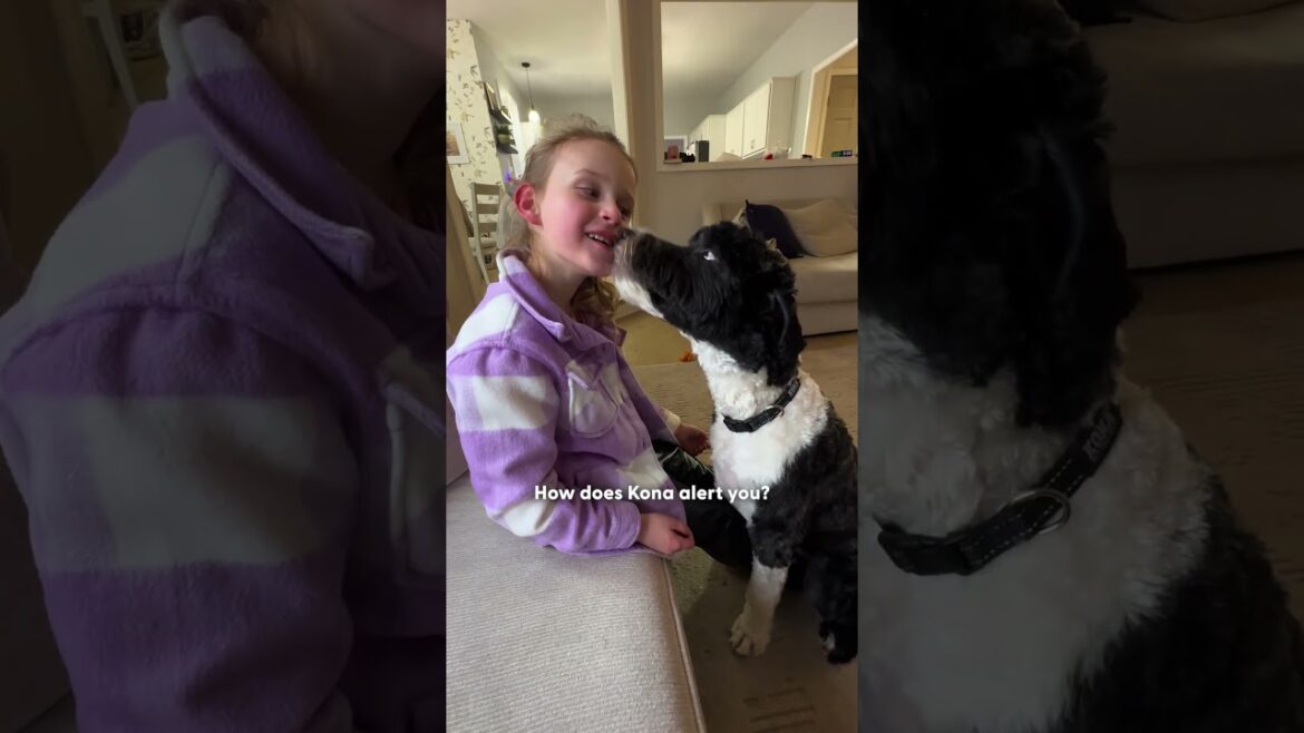 Dog Realizes His Human Sister Has Diabetes Before Anyone Else