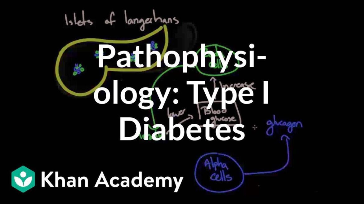 Pathophysiology Type I diabetes | Endocrine system diseases |