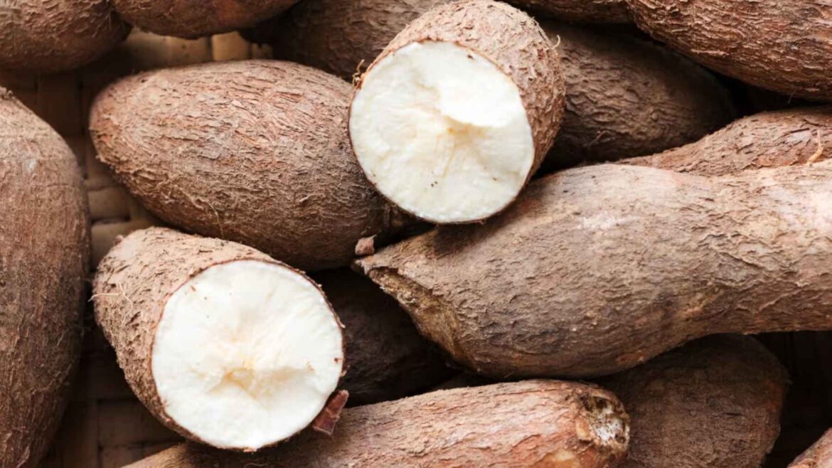 Yam memory blood sugar benefits