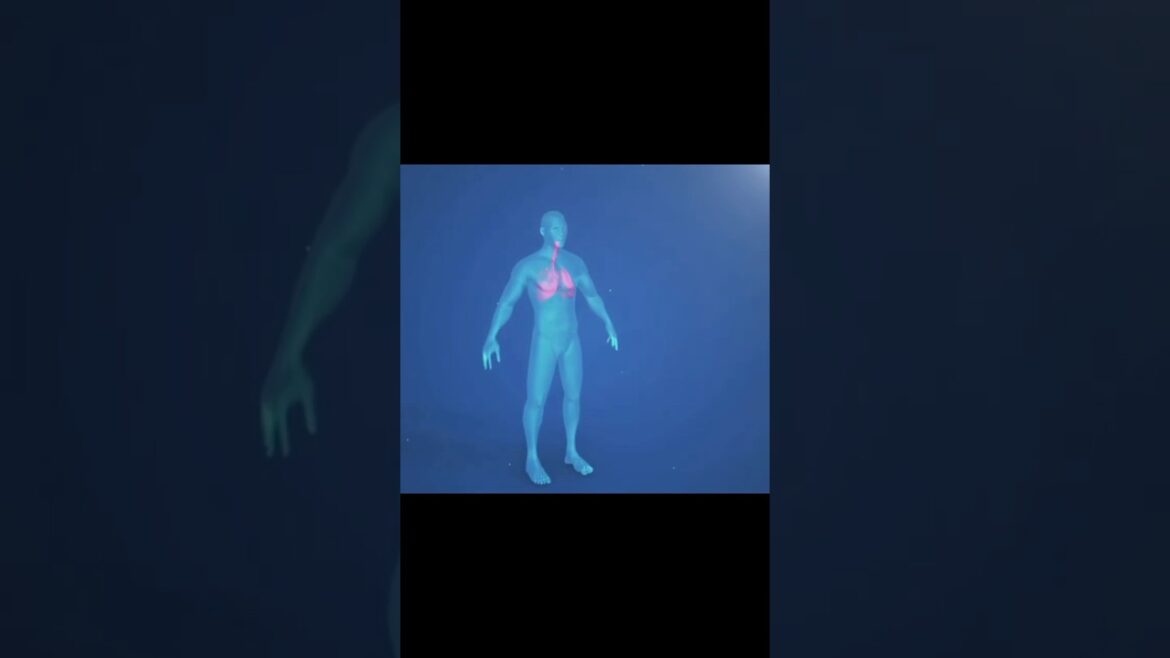 Diabetes Is An Energy Overload #type2diabetes #diabetes #prediabetes #bloodsugar #health