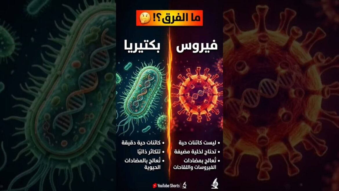 The real difference you should know #viral #explore #body #diabetes