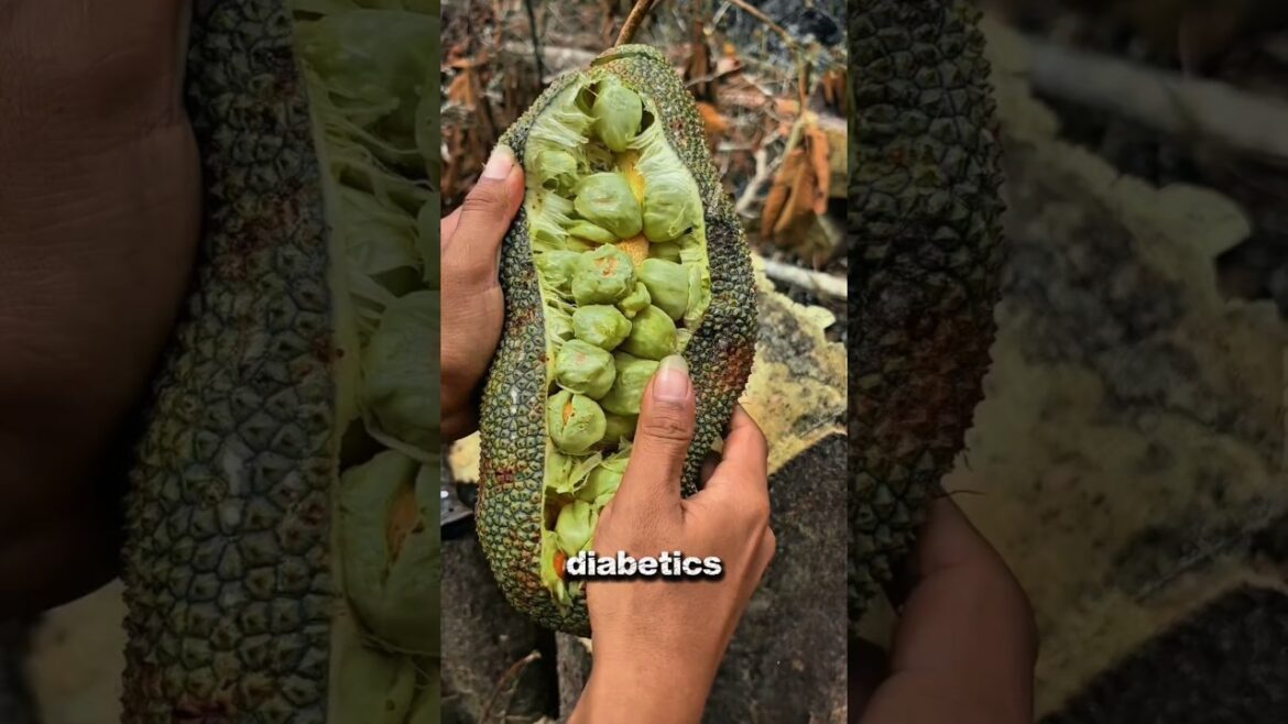 Top 5 Best Fruits for Diabetics (Low Sugar Options)