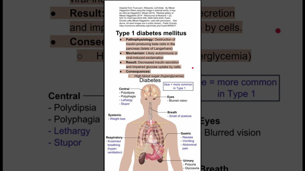 Type 1 diabetes mellitus