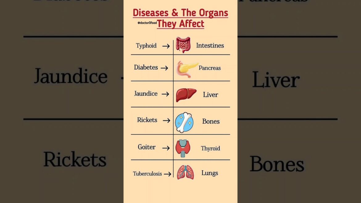 Diseases & The Organs They Affect | Typhoid, Diabetes, Jaundice
