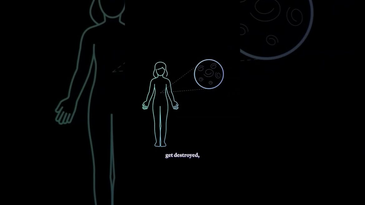How does type 1 diabetes actually work?