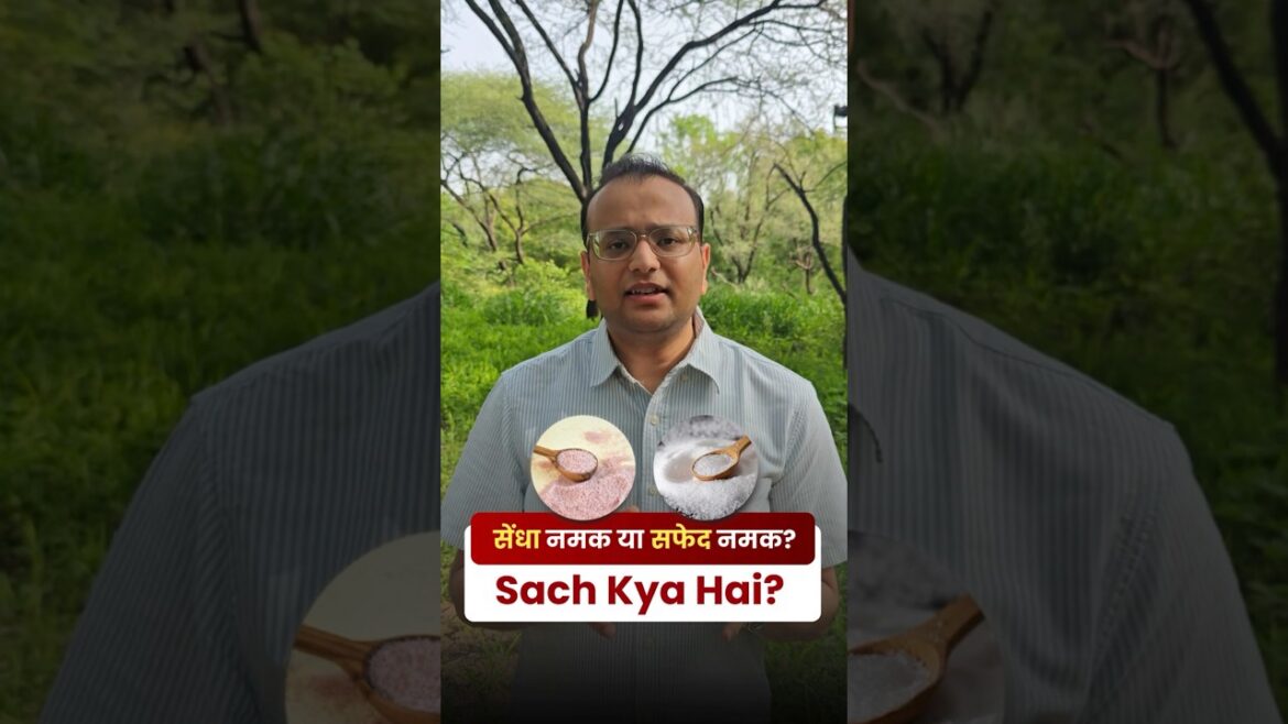 Sendha Namak vs Safed Namak | Which Is Better for